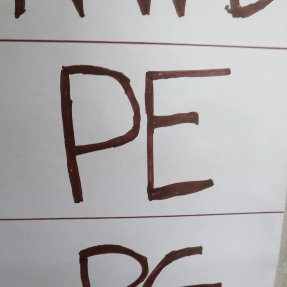 Sundance Lace Top Womens XS Purple‎ Witchy Dark Feminine Boho Event Date Night - Picture 13 of 15